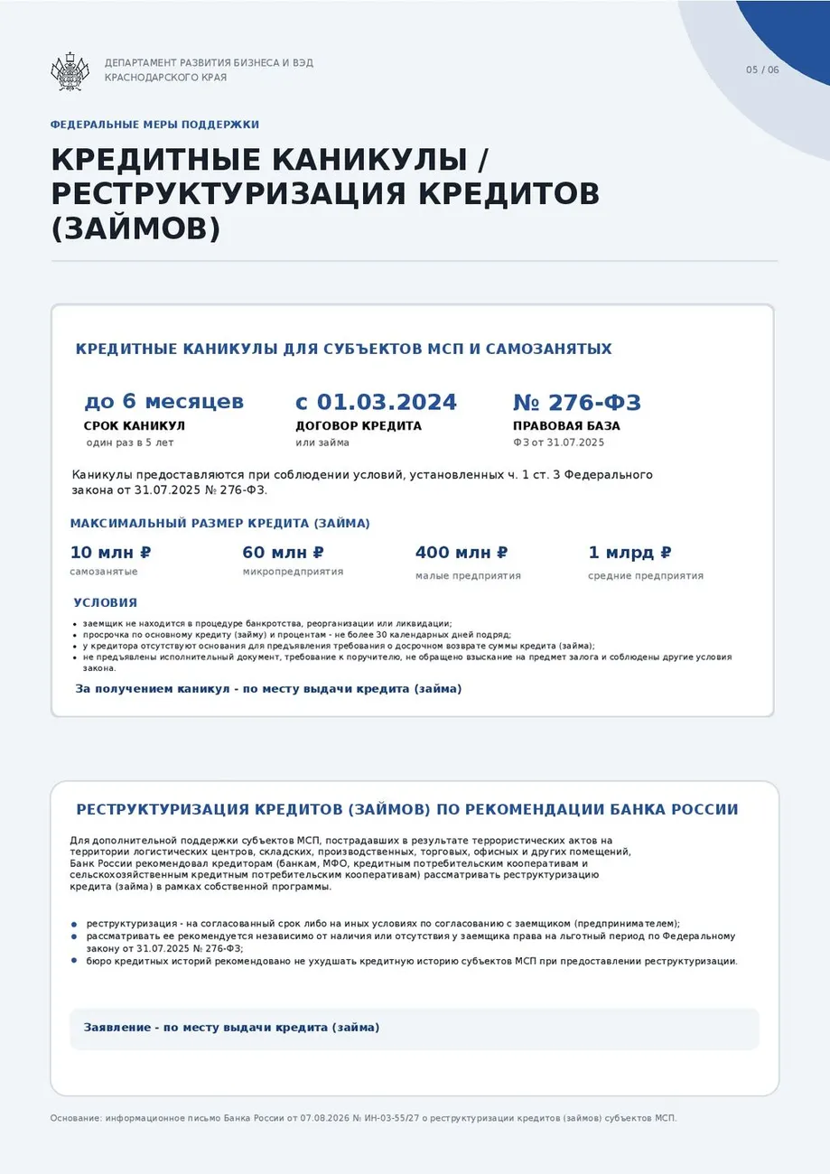 Меры поддержки-005