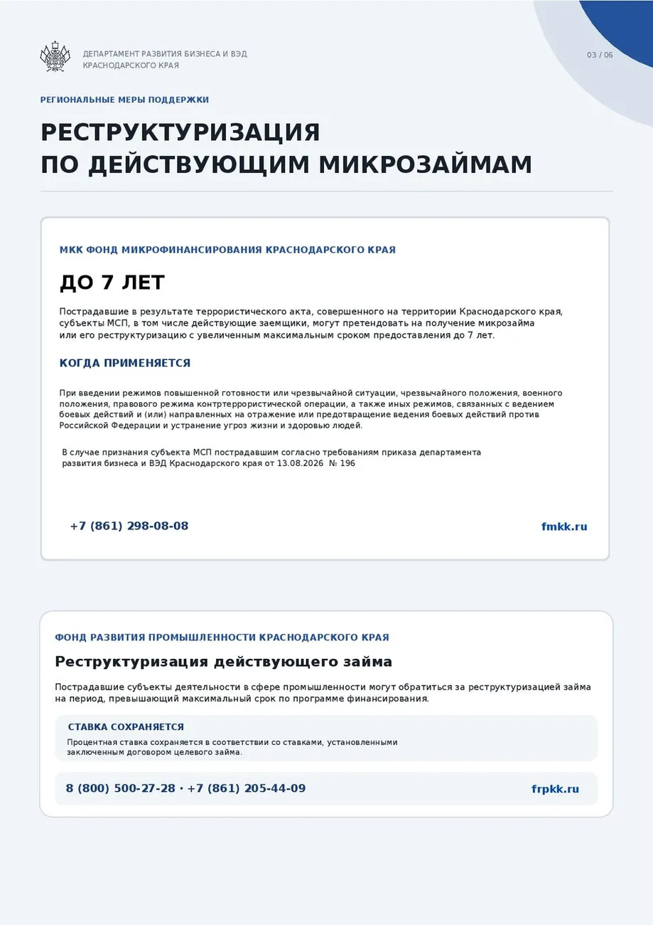Меры поддержки-003